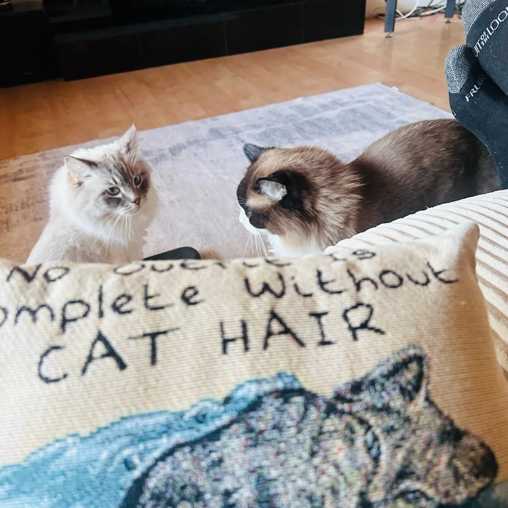 Cat-Themed Decorative Pillow with Blue and Gray Design